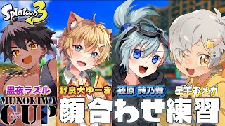 【スプラ3/カスタム】第4回ムノキワ杯　大会練習(一人代理です) 【Vtuber/星羊おメガ】