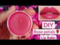 How to make rose petals lip balm