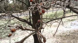 The Ice Storm by Bob Lee by Brasso Bob Harrison 55 views 8 years ago 2 minutes, 50 seconds