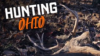 Hunting the Rut in Ohio - BUCK DOWN!