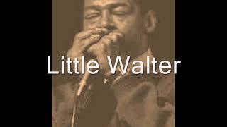 Little Walter-Just Your Fool