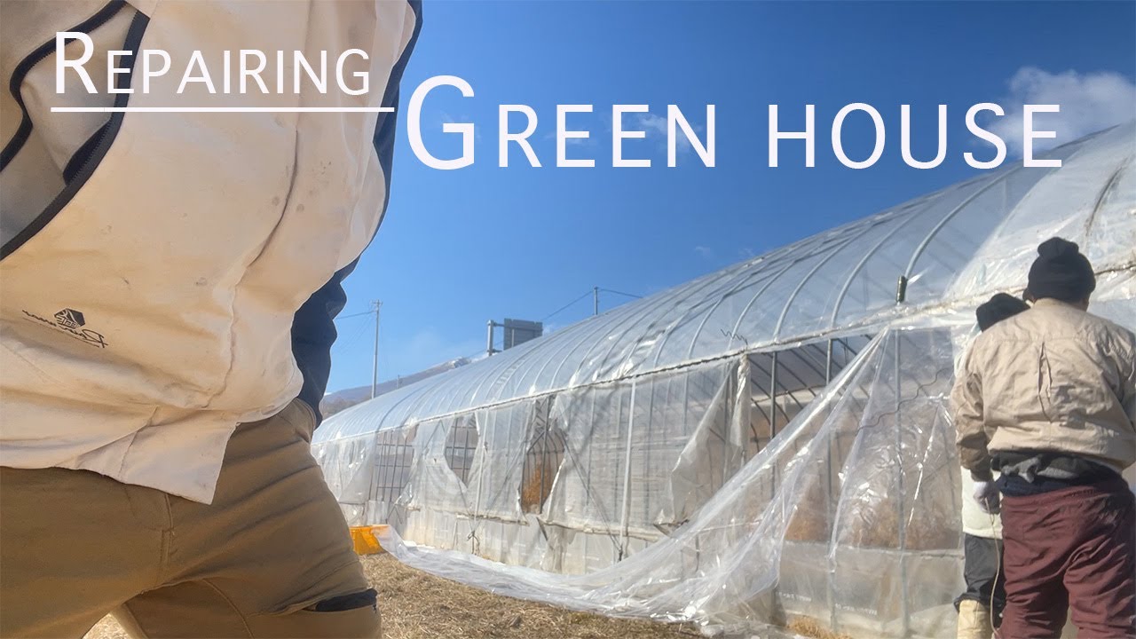 【修理】ビニールハウスの修理vlog How to repair greenhouse YouTube
