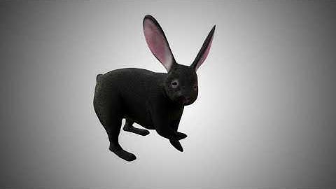 BLACK RABBIT 3D MODEL RIGGED AND LOW POLY AR VR VFX Game Ready Model