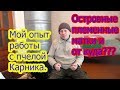 МОЙ ОПЫТ РАБОТЫ С ПЧЕЛОЙ КАРНИКОЙ, ОТ КУДА ПЛЕМЕННОЙ МАТЕРИАЛ И КАК ЕГО ПРИОБРЕТАЛ.