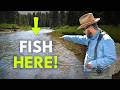 How To Find Trout In A River — Riffles 101 | Episode 24