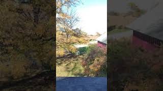 Out a rear window, fall+grapes+lake