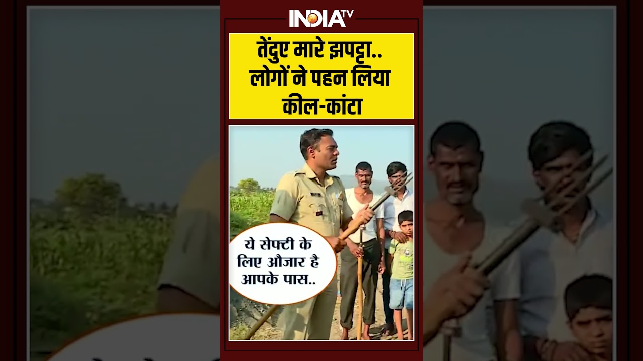 Maharashtra Tendua Attack: तेंदुए मारे झपट्टा..लोगों ने पहन लिया कील-कांटा | Pune Village | Leopard