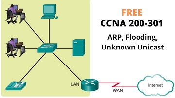 6. Free CCNA Full Course |  ARP,  Flooding & Unknown Unicast | Hindi