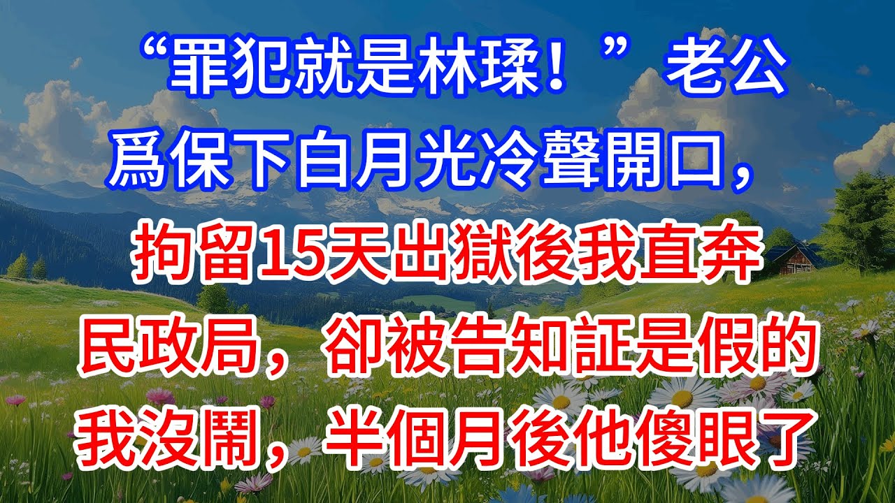 【完結】“罪犯就是林瑈！”老公爲保下白月光冷聲開口，拘留15天出獄後我直奔民政局，卻被告知証是假的，我沒鬧，半個月後他傻眼了
