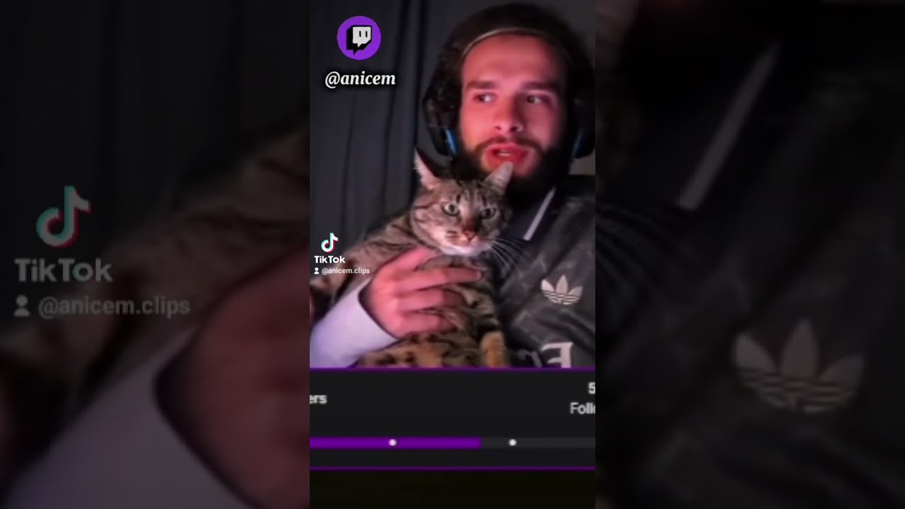 Elle sera toujours présente pour donner son avis ! #gamingshorts #gaming #letsplay #horror #alanwake