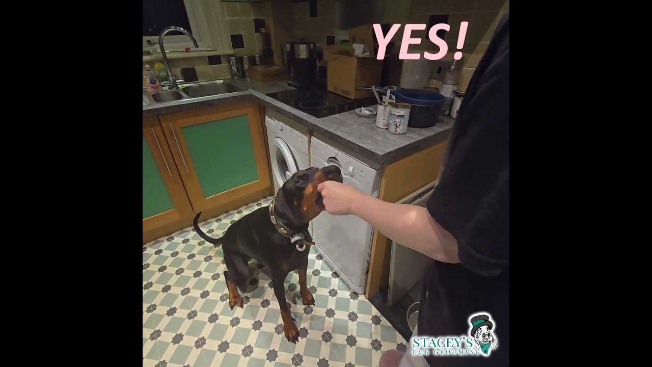 Random - Quorra Doon learning the Wave trick  