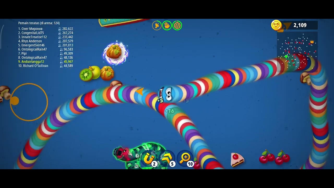 Menjadi cacing yang paling besar #cacing #wormszone 