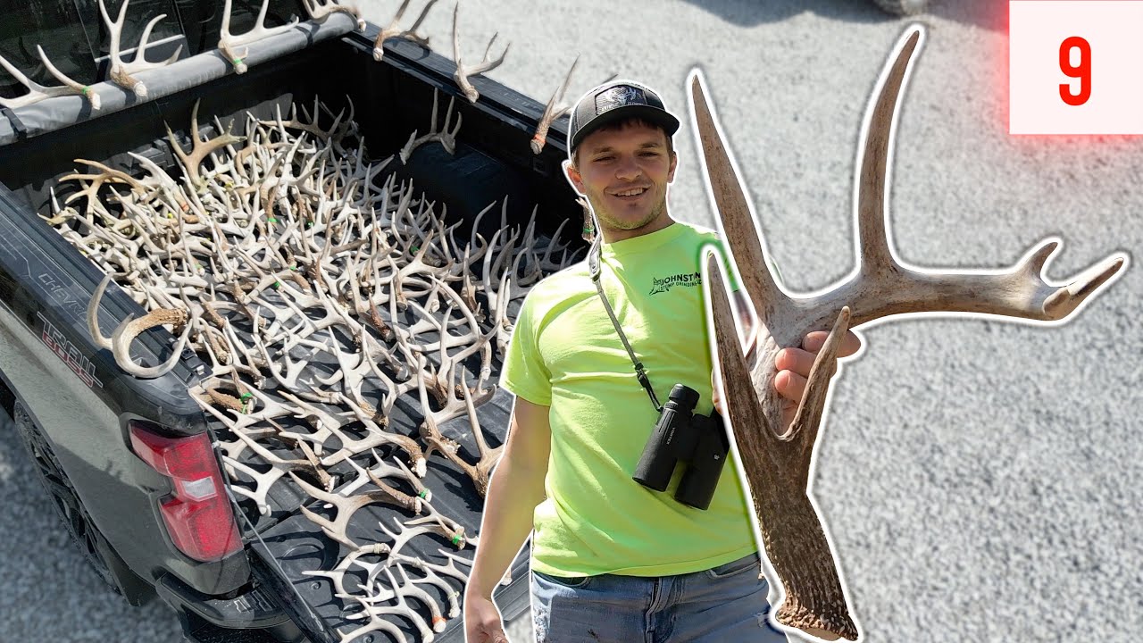 BIG 7 Point Side, NICE Deadhead and 34 Antlers | Shed Hunting 2023 E9 ...