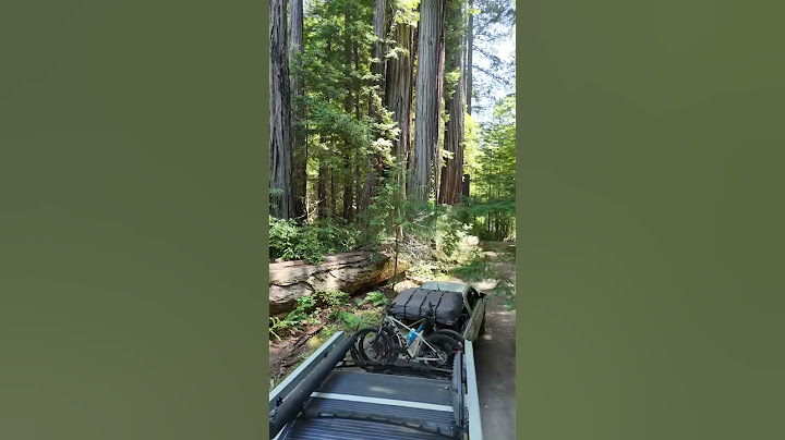 Picnic in the Redwoods | Easy Camp Cooking with PinDrop