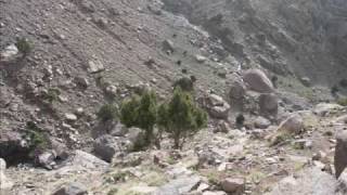 Tartit - (Ichichila)Holiyane Holiyana