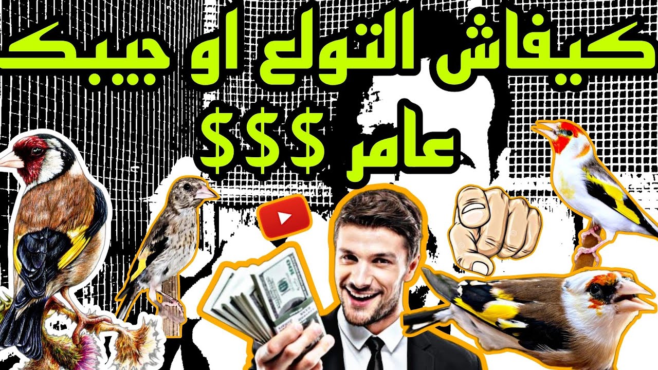 هل أشتري الماجور أم البارفا ؟؟؟ + الإجابة على بعض الأسئلة...