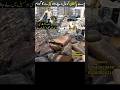 fabric wholesale market | Al Karam Gali kapada Market #shorts