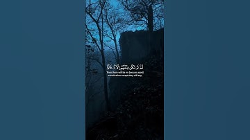 مقطع من سورة الأنعام بصوت الشيخ محمد ايوب #اكسبلور #المصحف