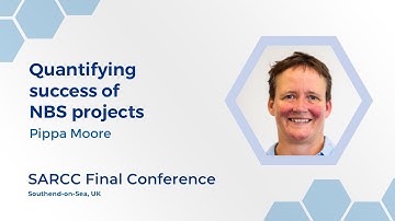 Quantifying success of NBS projects