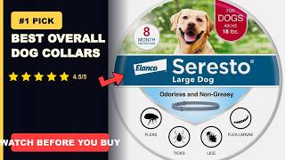 Best 6 Dog Collars ~ I Tested Them All