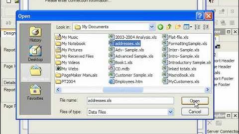 Crystal Reports Tutorial Access/Excel (DAO) Business Objects Training Lesson 2.4