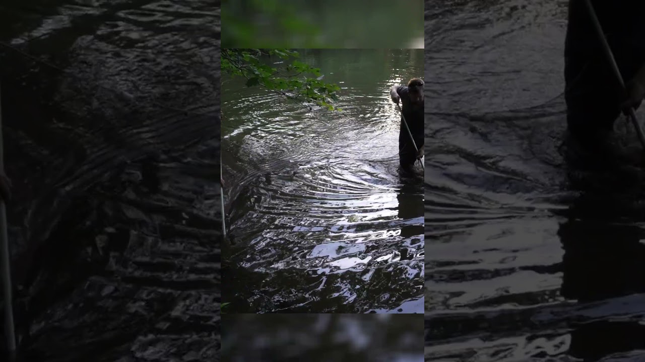 The FASTEST Way To Catch Crawdads (crawfish)