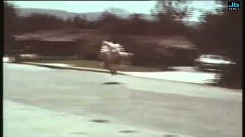 Tommy Boyce and Bobby Hart - Alice Long