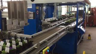 Pot in Tray & etiket