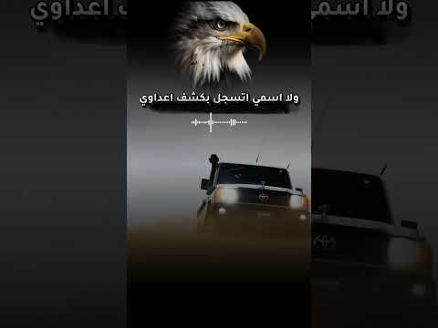 الكلب مايعبر حدود الاجواء والصقر غير الكائن الصحراوي حصريا 2025 قووة القووة محمد العباسي
