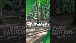 Discover Catherine Creek Park in Lake Stevens
