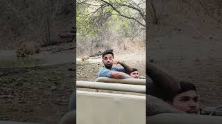 Suryakumar Yadav Posing With Leopard In Jhalana Safari
