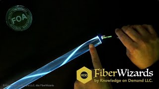 Celebrity Fiber Optic Anatomy and Total Internal Reflection - FiberWizards Nano Learning 🚀 Wealth
