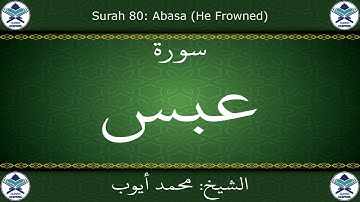 القرآن الكريم بصوت محمد أيوب - سورة عبس
