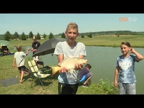 Videó: Hogyan Biztosítsunk Otthont A Gyermek Számára