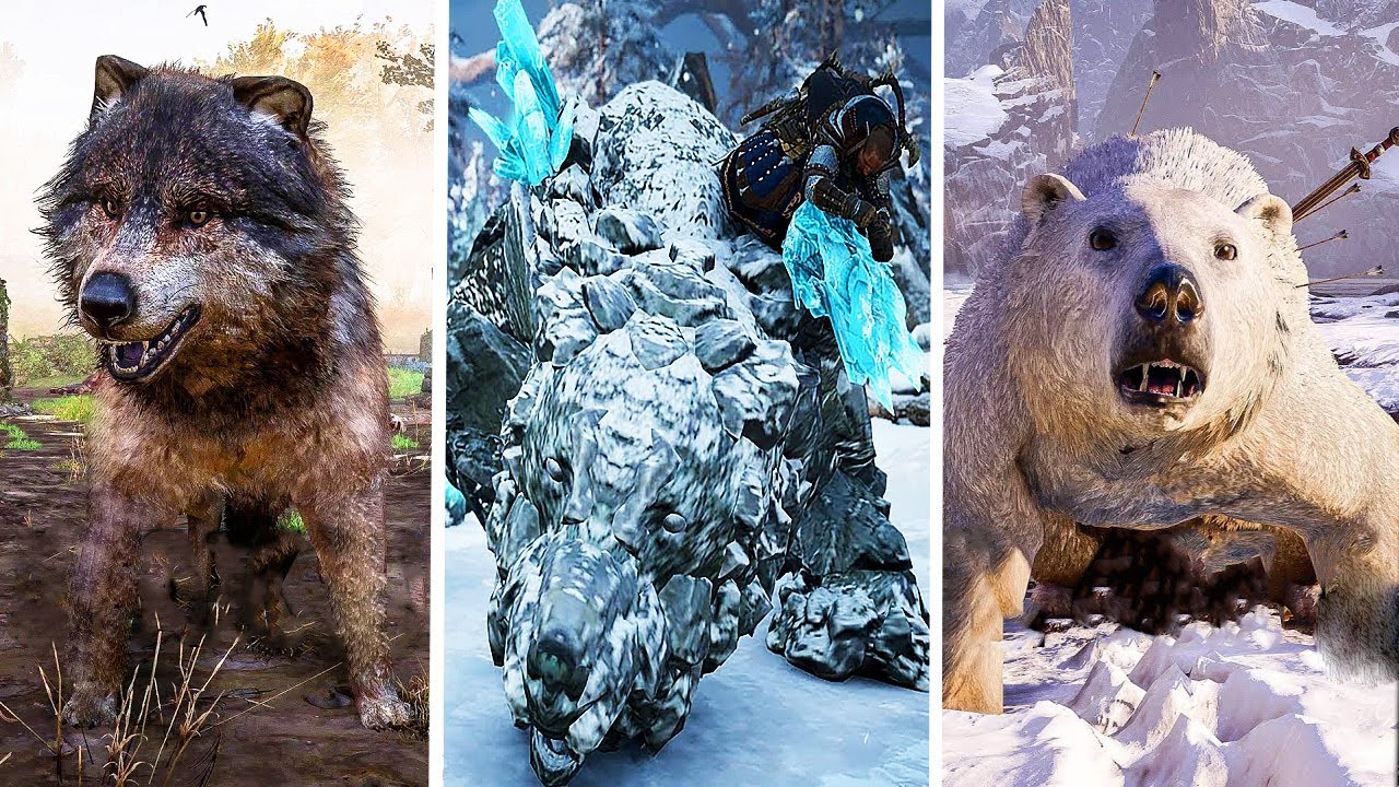 Assassins Creed Valhalla - All Legendary Animal Boss Fights + Locations