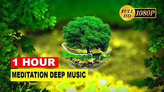 The Secret Garden Nature Sounds - Relaxing Sounds of Nature for Deep Sleep, Baby Sleep music
