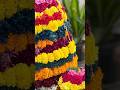 బతుకమ్మ Festival of Flowers 🌺 🌼 🌹 🪷 #youtubeshorts #ytshorts #telugu #instagram #india #flowers