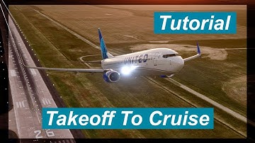 Takeoff To Cruise | Full Step-By-Step Tutorial | PMDG 737