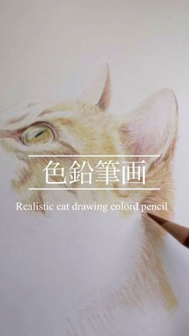 色鉛筆画】必見！いつもと同じように描いただけでリアルに描けた