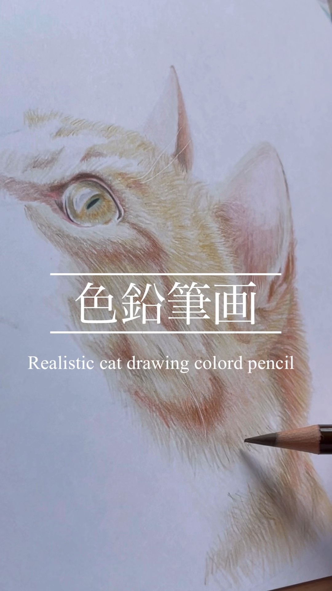 色鉛筆画】必見！いつもと同じように描いただけでリアルに描けた