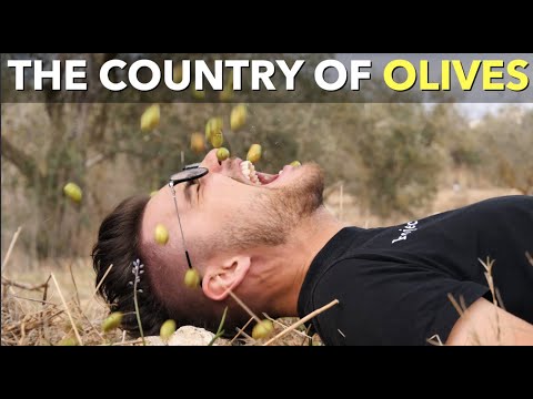 The Country Of Olives