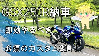 GSX250R納車！MotoGPカラー！おススメ初期カスタム【モトブログ】