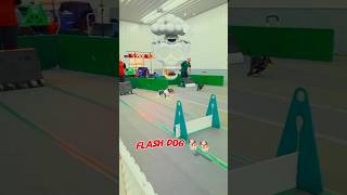 #dogs #flash #edit #please #10lakhviews #complete #guys #thanksforwatch