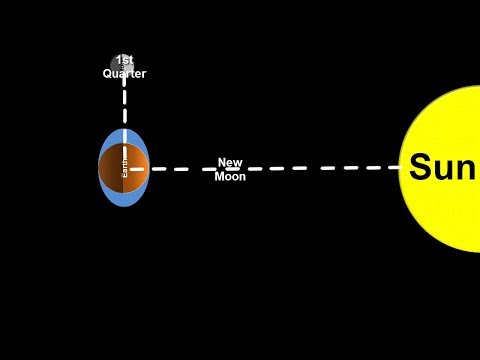 Space Science Tutorial: Spring and Neap Tides