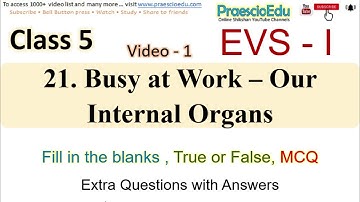 Class 5 EVS-1 Extra Que on Busy at Work - Our Internal Organs video-1 State Board PraescioEdu