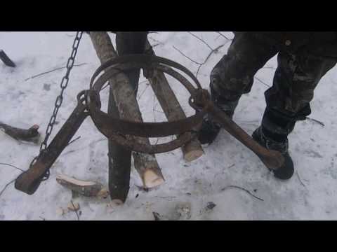 Как ловить бобра петлями видео Как ловить бобра петлями видео