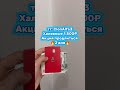 ⚡️Ребят пишите мне срочно #просмотры #шортс #путин #кайф
