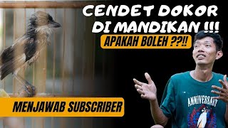 Cendet Dokor Di Mandikan - Apakah Boleh ?