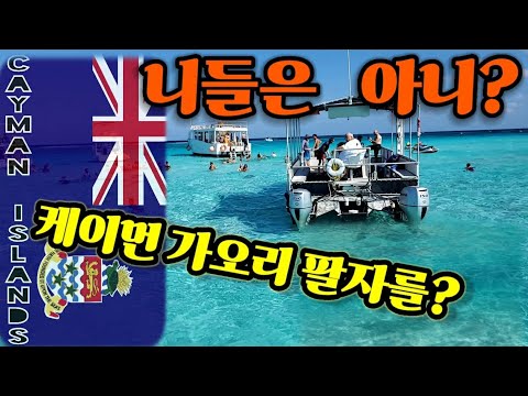 케이먼 아일랜드 | 미쿡 아재 동네 한바퀴 제 16편 에피소드 1 | 대형 가오리와 함께 수영을 할수 있는 캐리비언 최고 청정 바다 케이먼 제도 편