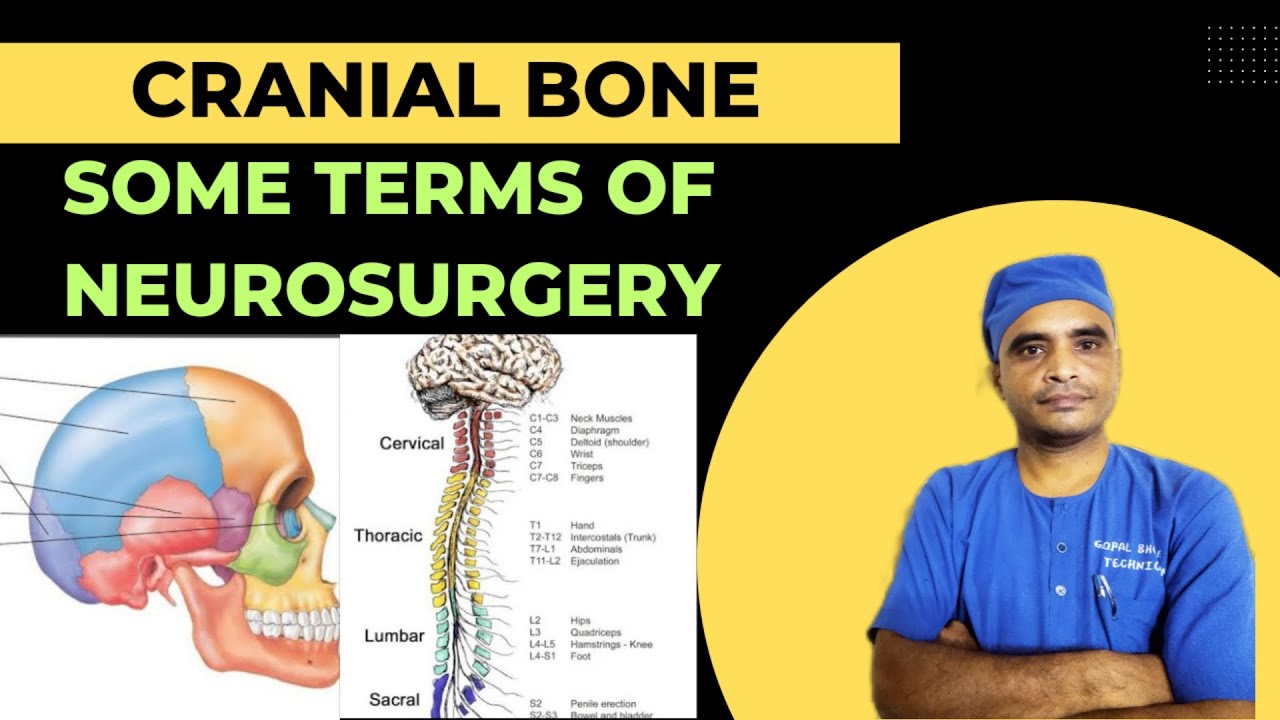 Ot technician | some terms of neurosurgery | Cranial Bone #brain #spinalcord